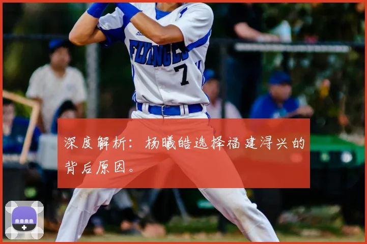 深度解析：杨曦皓选择福建浔兴的背后原因。
