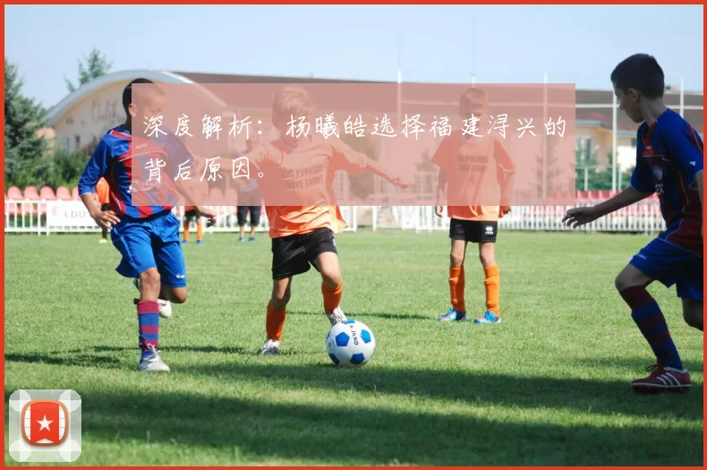 深度解析：杨曦皓选择福建浔兴的背后原因。