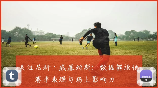 关注尼科·威廉姆斯：数据解读他的赛季表现与场上影响力